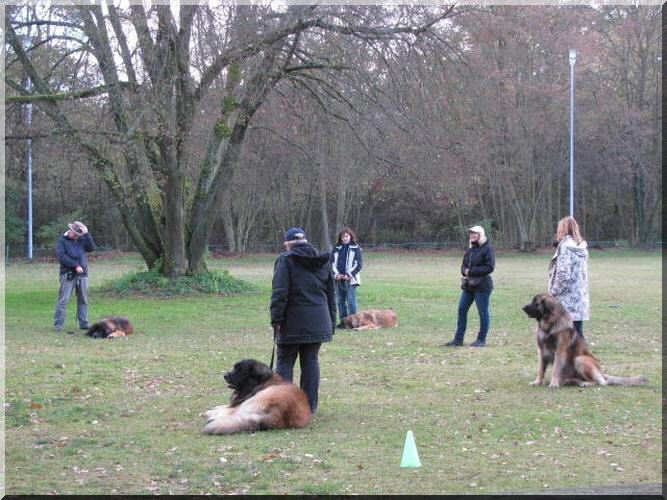 mtJNU4wTkNRVVl6T1RVeE5qVTJSVUV4UlRNeE1VSkNRVGd0YmpRdVluTXhObUUkYzJWc1pXTjBhVzl1UFhSbWIyd3hNV00xTm1ZNE9URmlNR1JtWlRVMCZ3PTg   wMCZoPTYwMCZxPTc1JnQ9MTM4NDE5NTI1MA__.jpg